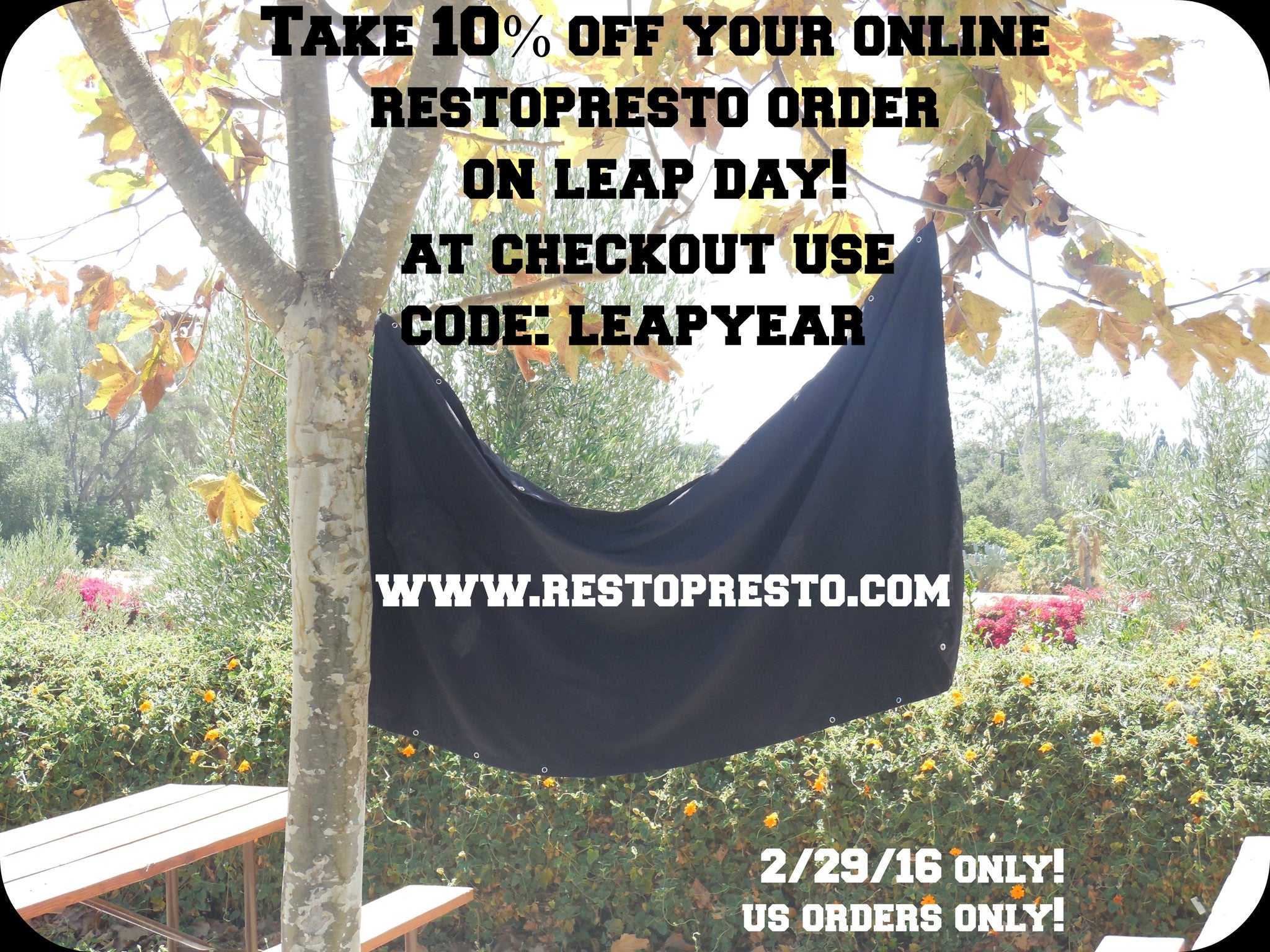 Leap Year Savings - ONE DAY ONLY! 10% off!